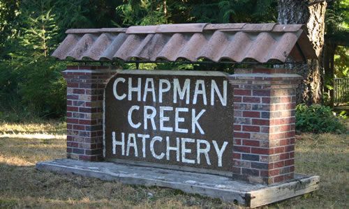 chapman_creek_nature_trail 002